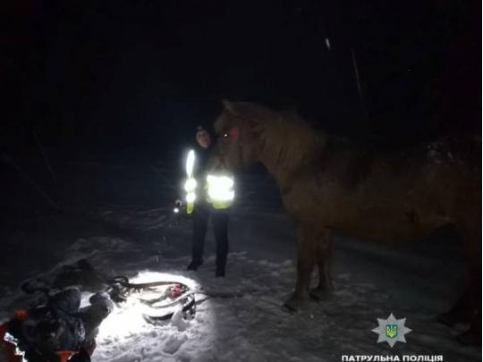 На Прикарпатье кобыла Мышка помогла патрульным спасти хозяина