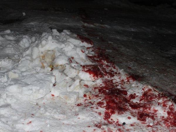 На Житомирщине ночью произошли вооруженные разборки из-за янтаря: есть погибшие (дополнено, фото)