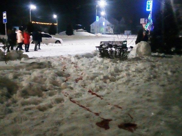 На Житомирщине ночью произошли вооруженные разборки из-за янтаря: есть погибшие (дополнено, фото)