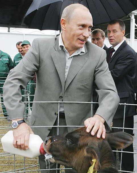 Путин и Эббот сфотографировались с коалами