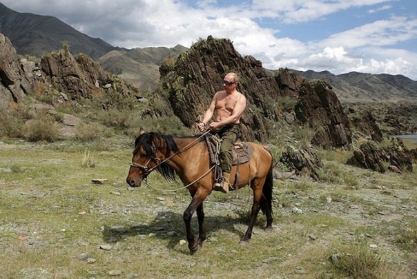 Путин и Эббот сфотографировались с коалами