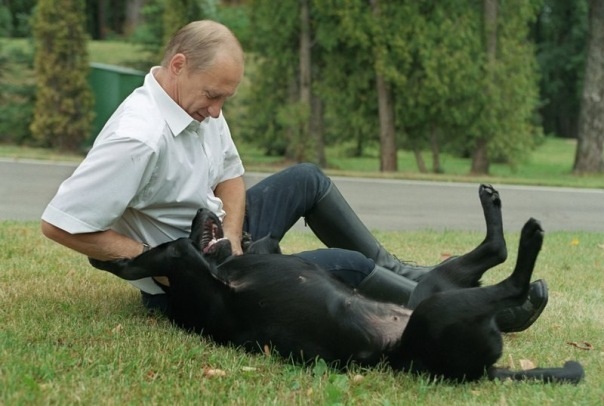 Путин и Эббот сфотографировались с коалами