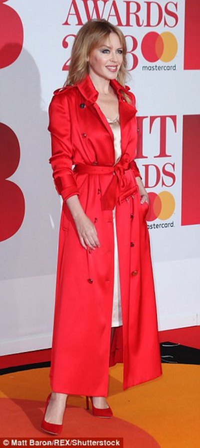 В Лондоне вручили престижную музыкальную премию Brit Awards (фото)