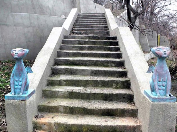 В Одессе туристов отправят на поиски... котов (фото)