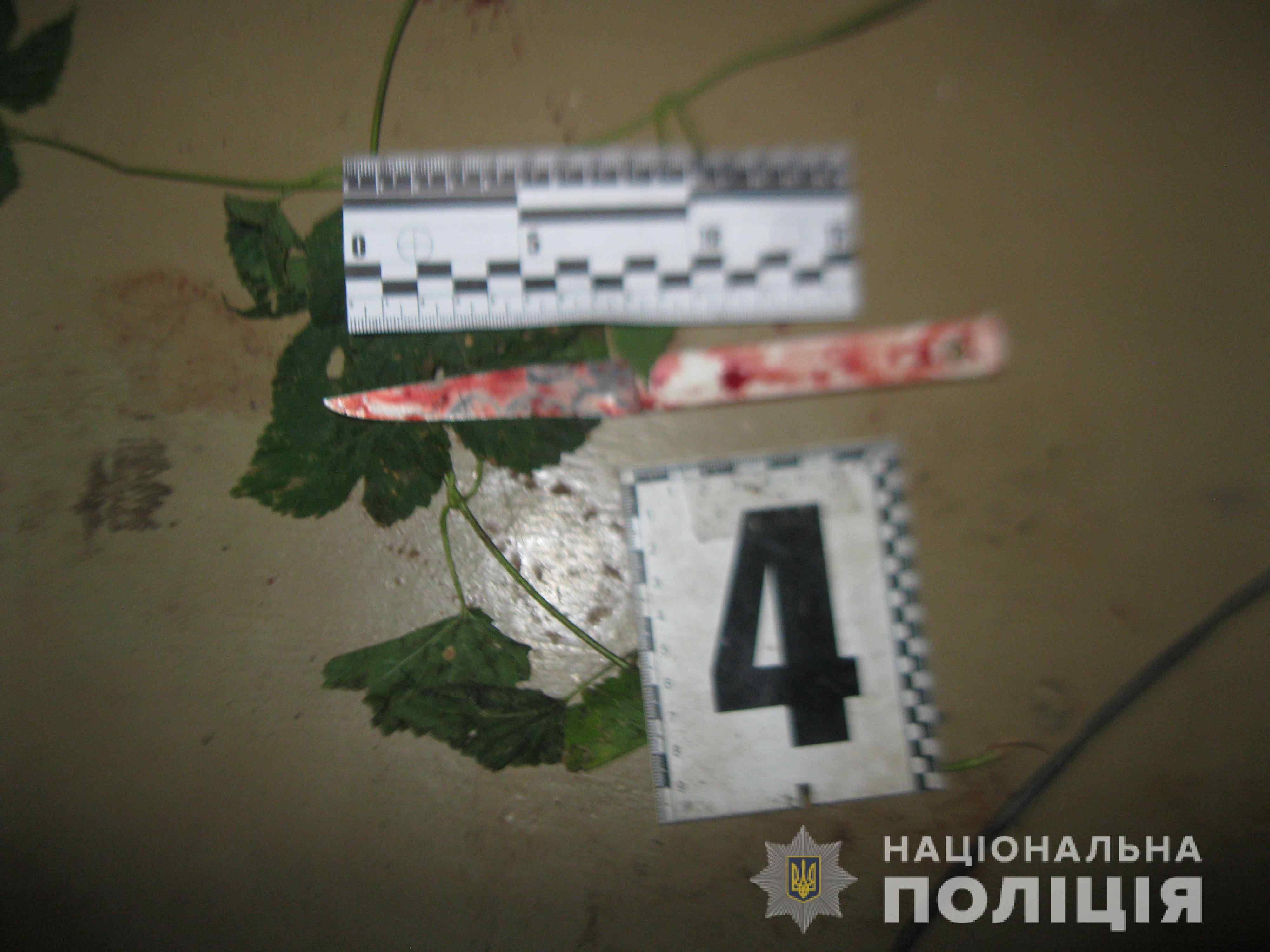 В полиции прокомментировали убийство мужчины в Измаильском районе