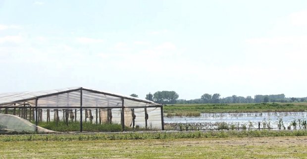 Без урожаю та даху над головою: Херсонщина страждає від наслідків негоди (фото, відео)