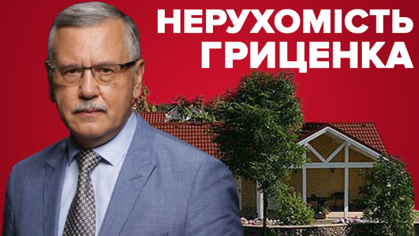 Дача и квартиры жены: какой недвижимостью владеет Анатолий Гриценко