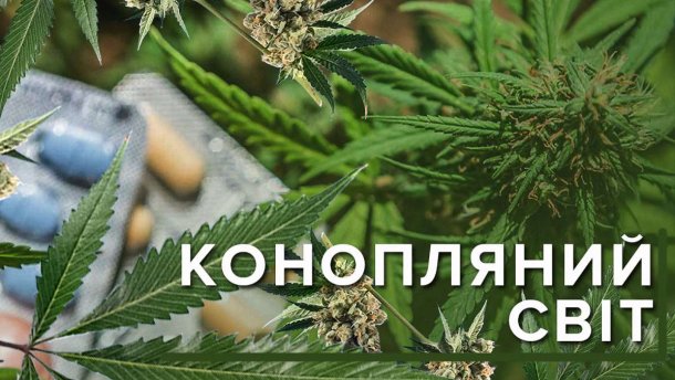Де у світі легалізовано марихуану: інфографіка
