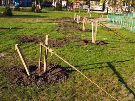 Дикари: сеть возмутила массовая кража цветов и кустов в Киеве (фото)