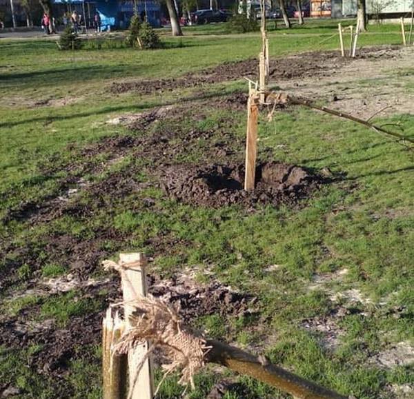 Дикари: сеть возмутила массовая кража цветов и кустов в Киеве (фото)