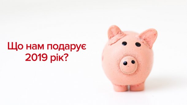 Гороскоп на 2019 год Желтой Свиньи: какие прогнозы подготовили астрологи для всех знаков зодиака