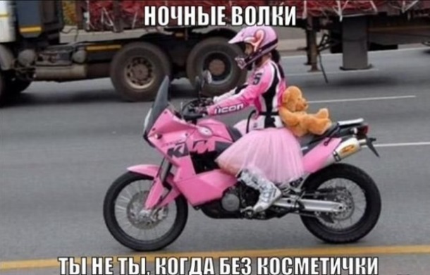 Хиты сети. Лучшие мемы 2015 годаСюжет
