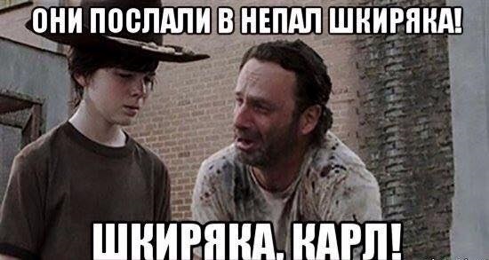 Хиты сети. Лучшие мемы 2015 годаСюжет