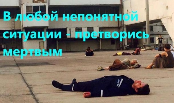 Хиты сети. Лучшие мемы 2015 годаСюжет