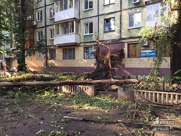 Кривой Рог накрыла мощная буря с грозой, есть жертвы: фото, видео