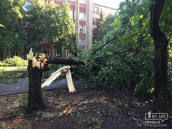 Кривой Рог накрыла мощная буря с грозой, есть жертвы: фото, видео