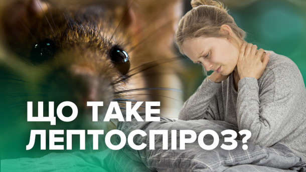 Лептоспіроз: симптоми, лікування та профілактика