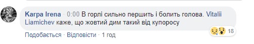 Люди плакали, а католики тихо пели, – писательница Ирена Карпа о пожаре в Нотр-Даме