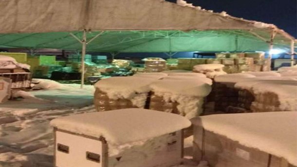 На Новий рік без подарунків: в аеропорті Бориспіль не можуть розібрати посилки з-за кордону
