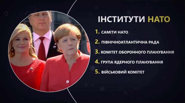 На страже мировой безопасности: почему создали НАТО и как функционирует эта организация