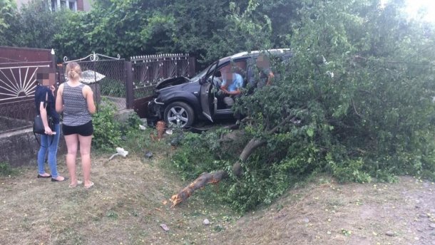 На Закарпатье пьяный адвокат насмерть сбил 11-летнюю девочку: детали трагедии