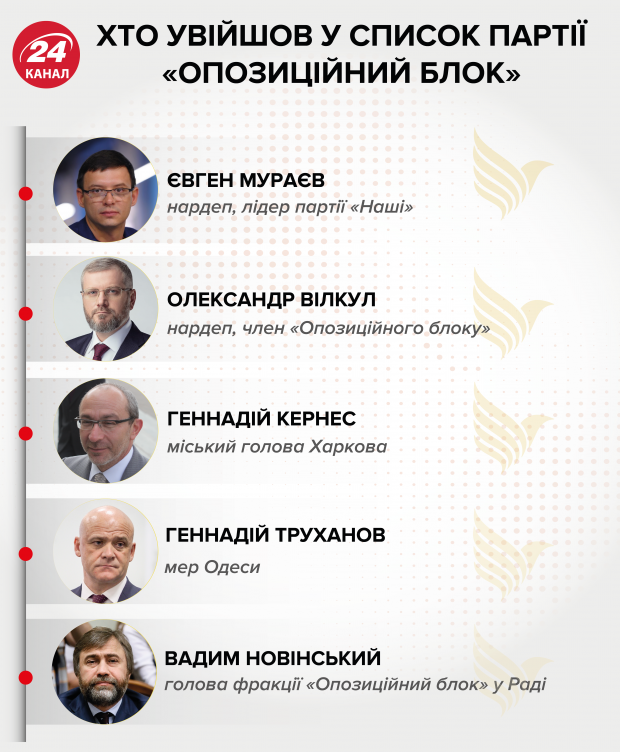 Нерухомість Олександра Вілкула: що приховує другий номер у списку Опозиційного блоку
