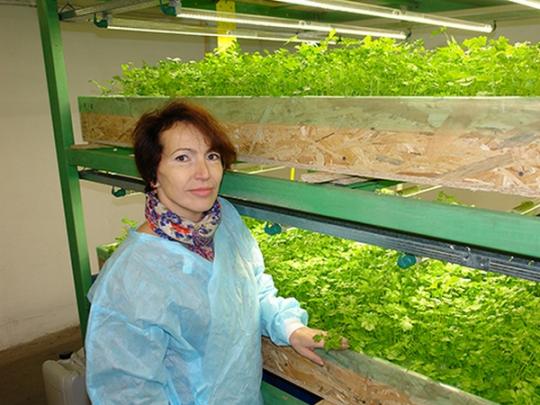 Переехавшая на Галичину жительница Алчевска Наталия Марийчук: Мы, переселенцы, дали работу местным жителям