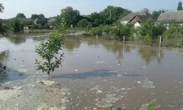 Повінь наробила лиха в Україні: шокуючі фото, відео наслідків негоди