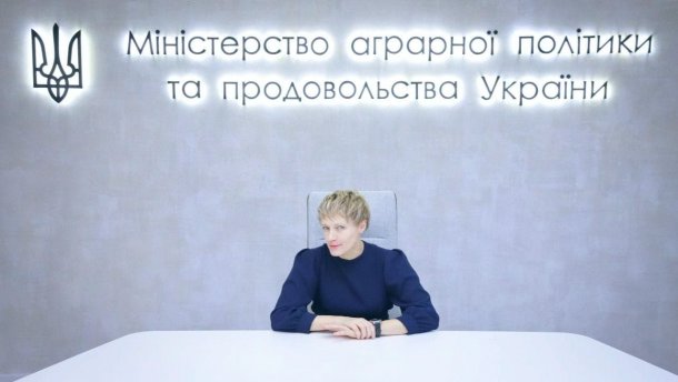 Ринок землі в Україні: в уряді розповіли, як планують його запускати