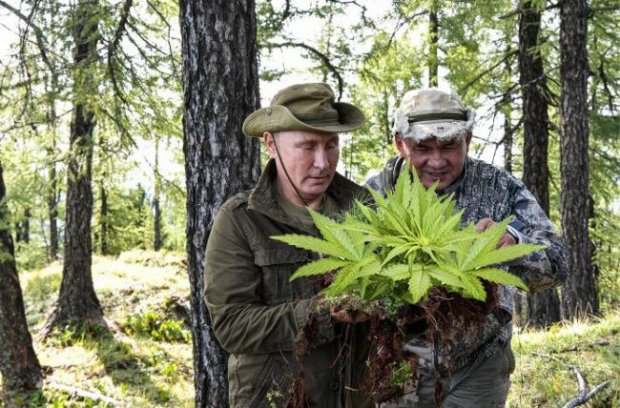Собирал марихуану: соцсети смеются над уикендом Путина