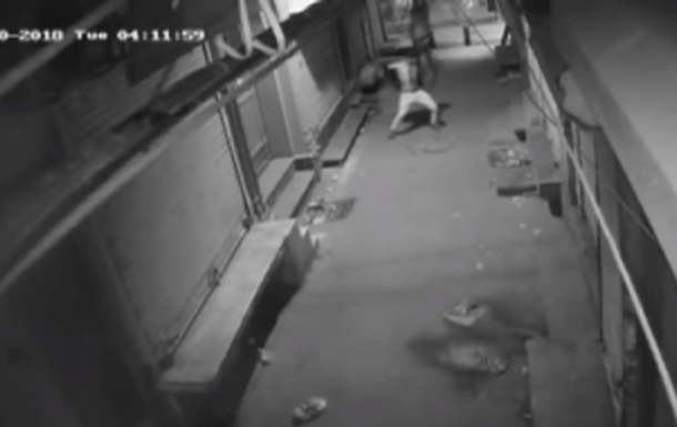 Танец вора перед взломом попал на видео
