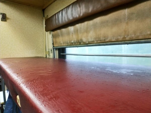 «Укрзалізниця» попала в новый скандал из-за протекающей крыши в поезде (фото, видео)