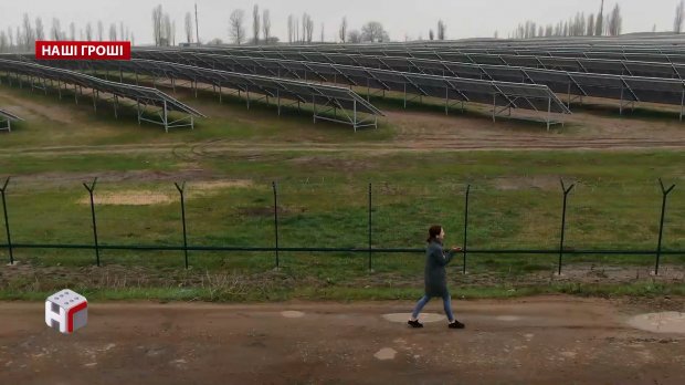 Від Авакова і Ахметова до радника Порошенка: корупційна схема зеленого енергобізнесу