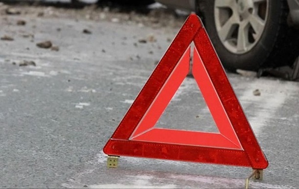 В Украине за год произошло больше полутысячи ДТП с участием животных