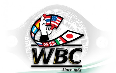 WBC дисквалифицирует боксеров, которые примут участие в Олимпиаде-2016