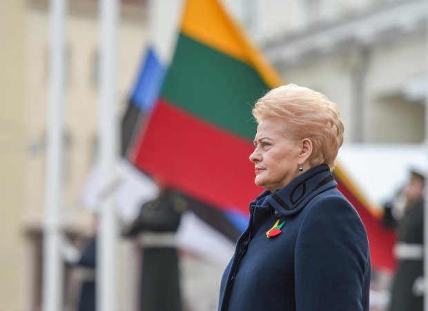 Як у НАТО захищають кордони від можливих зазіхань РФ