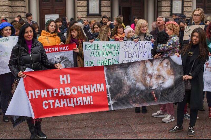 Зоозащитники спасли беременную чернобурую лисицу, которая могла стать живым тренажером для охотничьих собак (фото)