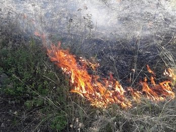На Николаевщине за минувшие сутки из-за неосторожного обращения с огнем произошло 5 пожаров