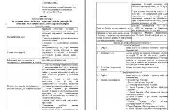Савченко объявил конкурс на должность своего заместителя по децентрализации
