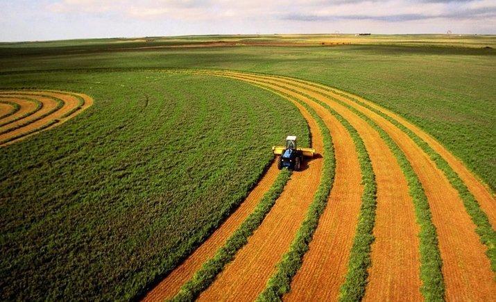 Зеленский – парламенту: До 1 декабря отменить мораторий на продажу земли