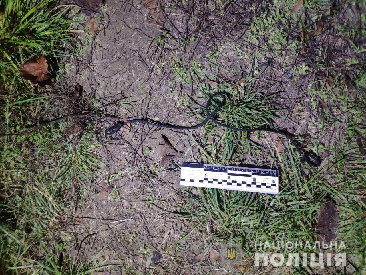 В Никополе во время собеседования мужчина изнасиловал и пытался убить девушку