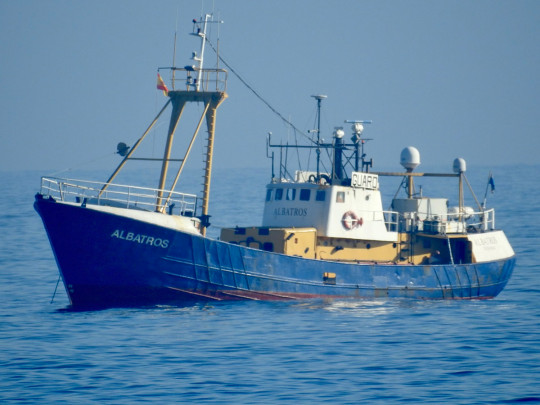 Іспанія затримала судно з українцями, яке перевозило 18 тонн наркотиків