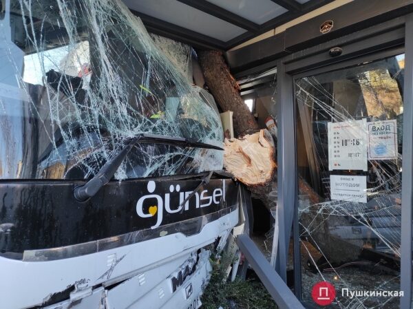 В Одессе автобус попал в ДТП: вылетел на встречку, снес дерево и врезался в мотосалон. Фото, обновлено В Одессе автобус попал в ДТП: вылетел на встречку, снес дерево и врезался в мотосалон. Фото, обновлено