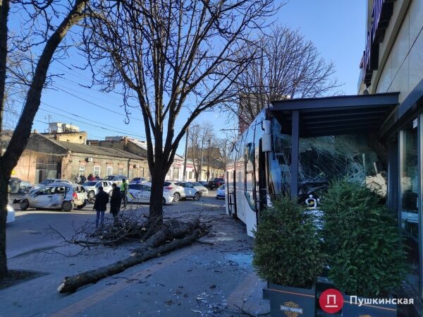В Одессе автобус попал в ДТП: вылетел на встречку, снес дерево и врезался в мотосалон. Фото, обновлено В Одессе автобус попал в ДТП: вылетел на встречку, снес дерево и врезался в мотосалон. Фото, обновлено
