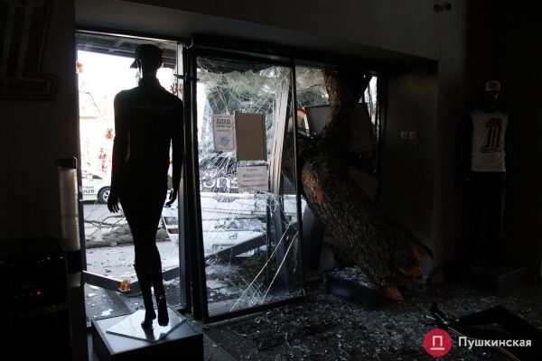 В Одессе автобус попал в ДТП: вылетел на встречку, снес дерево и врезался в мотосалон. Фото, обновлено В Одессе автобус попал в ДТП: вылетел на встречку, снес дерево и врезался в мотосалон. Фото, обновлено