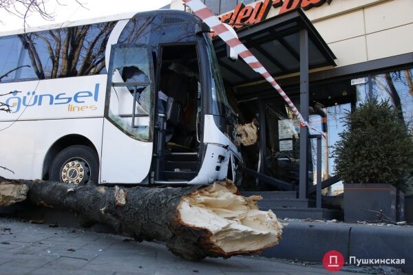 В Одессе автобус попал в ДТП: вылетел на встречку, снес дерево и врезался в мотосалон. Фото, обновлено В Одессе автобус попал в ДТП: вылетел на встречку, снес дерево и врезался в мотосалон. Фото, обновлено