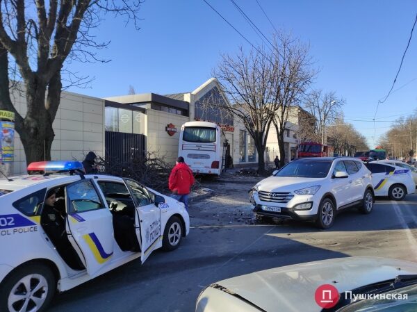 В Одессе автобус попал в ДТП: вылетел на встречку, снес дерево и врезался в мотосалон. Фото, обновлено В Одессе автобус попал в ДТП: вылетел на встречку, снес дерево и врезался в мотосалон. Фото, обновлено