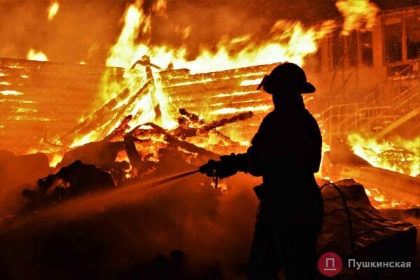 Пожар в &laquo;Виктории&raquo; 4,5 года спустя: деревянные корпуса лагеря снова осмотрят эксперты