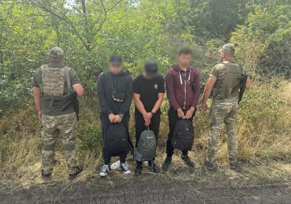Прятались в подсолнечниках: в Одесской области пограничники задержали нескольких уклонистов Прятались в подсолнечниках: в Одесской области пограничники задержали нескольких уклонистов