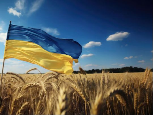 Найкращий час для перемоги: Алакх Ніраджан зробив новий прогноз про закінчення війни